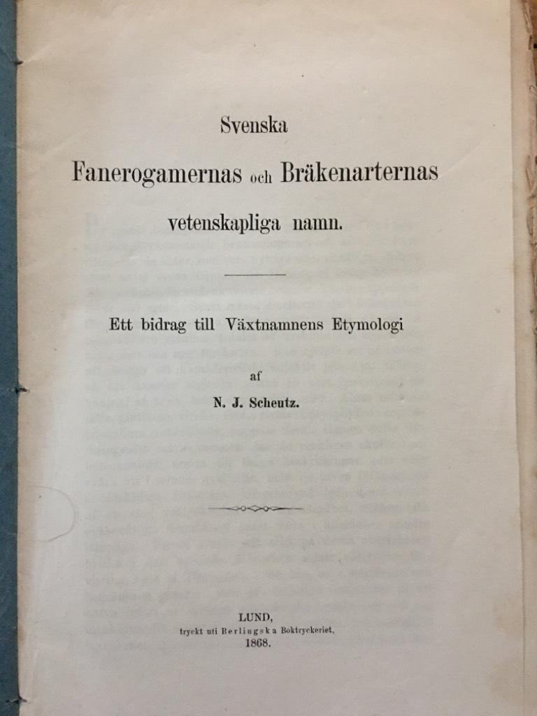 N.J. Scheutz : Svenska Fanerogamernas och Bräkenarternas vetenskapliga namn. Ett bidrag till Växtnamnens Etymologi.