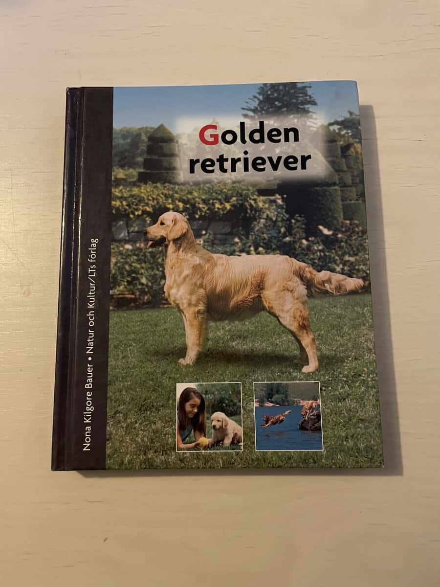 Nona Kilgore Bauer : Golden retriever