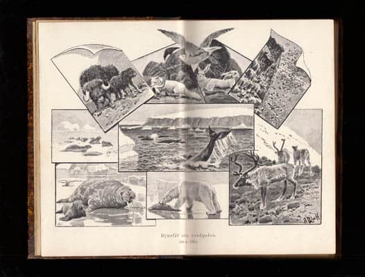 Nordahl Rolfsen : Ur djurlifvet i Norden + Ur djurlifvet i främmande länder