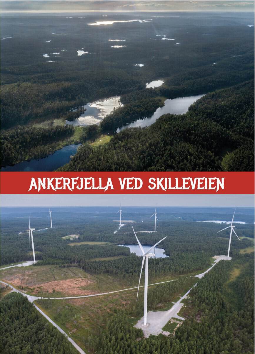 Nordbakke, Roy ; Eriksen, Marit ; Olsen, Jørn Bøhmer ; Olsson, Roy ; Sørensen, Majken Jul ; Andersen, Bård Edgar ; Syversen, Trond ; Syversen, Svein ; Engeseth, Martin ; Andreassen, Ellen Renate ; Paulsen, Morten ; Nodeland, Øygun Stjärne ; Haartveit, Per Ola ; Børli, Hans ; Eriksen, Thomas Hylland ; Berg, Lisbeth : Ankerfjella ved skilleveien