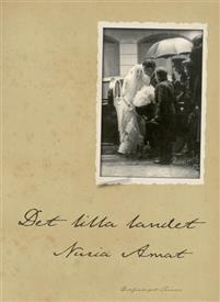 Nuria Amat : Det lilla landet
