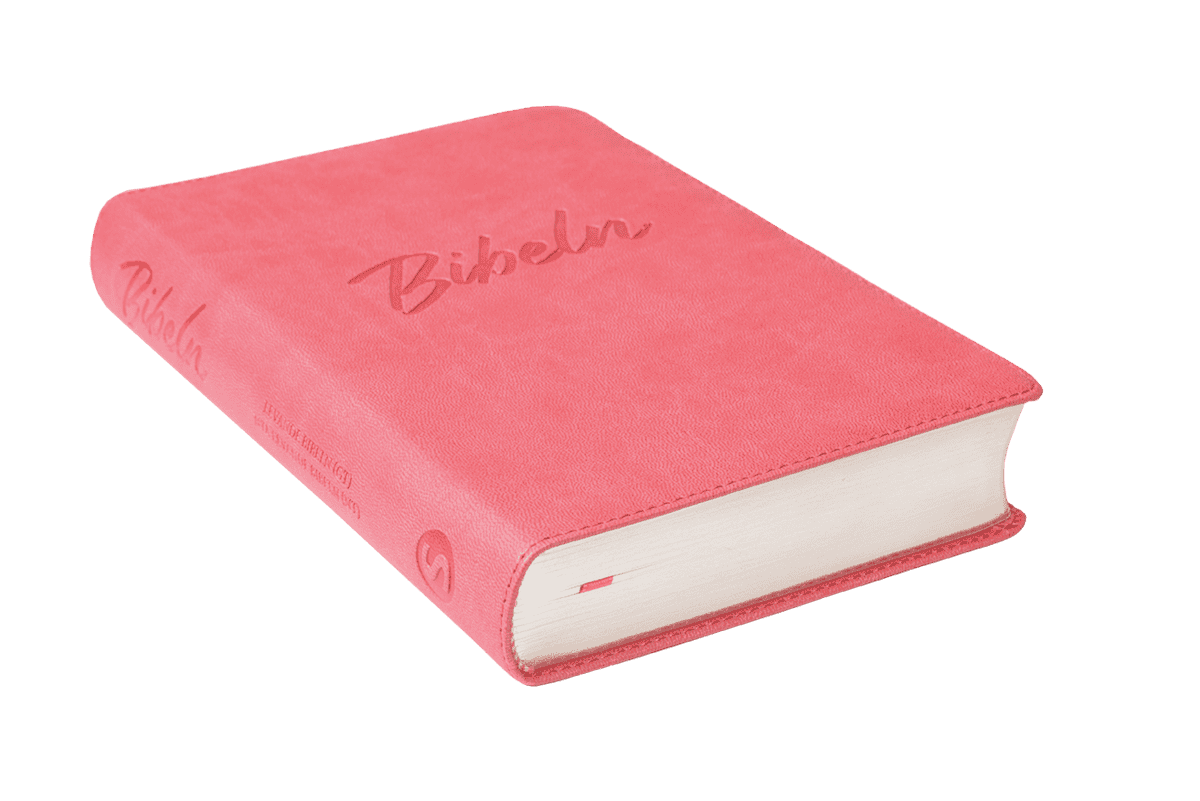 Nya Levande Bibeln 2015 - Konstskinn Rosa