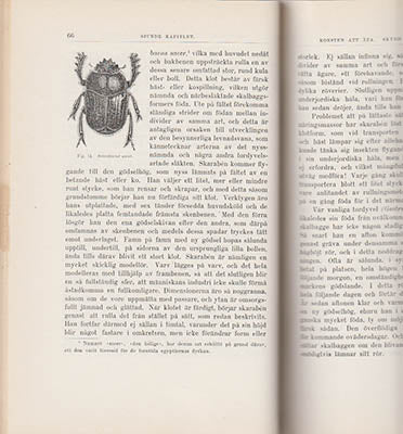 O. M. Reuter : Insekternas levnadsvanor och instinkter