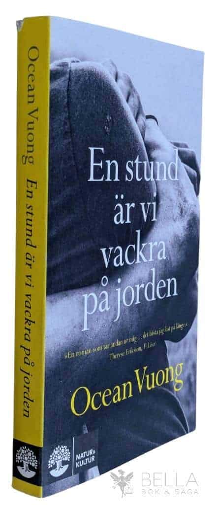 Ocean Vuong : En stund är vi vackra på jorden