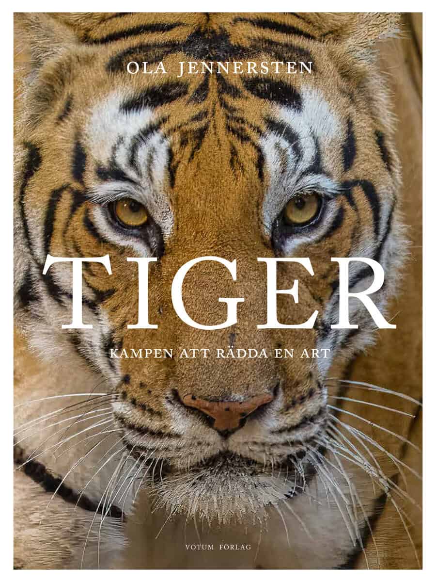 Ola Jennersten : Tiger : kampen att rädda en art