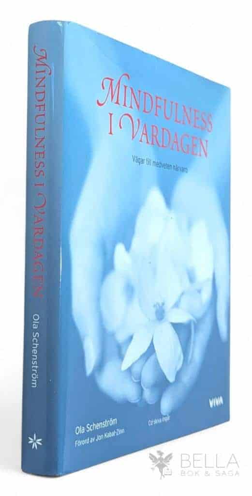 Ola Schenström : Mindfulness i vardagen