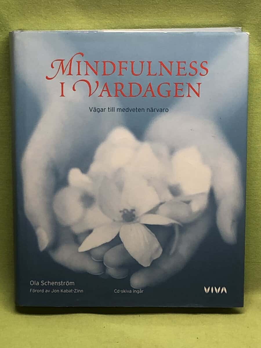 Ola Schenström : Mindfulness i vardagen