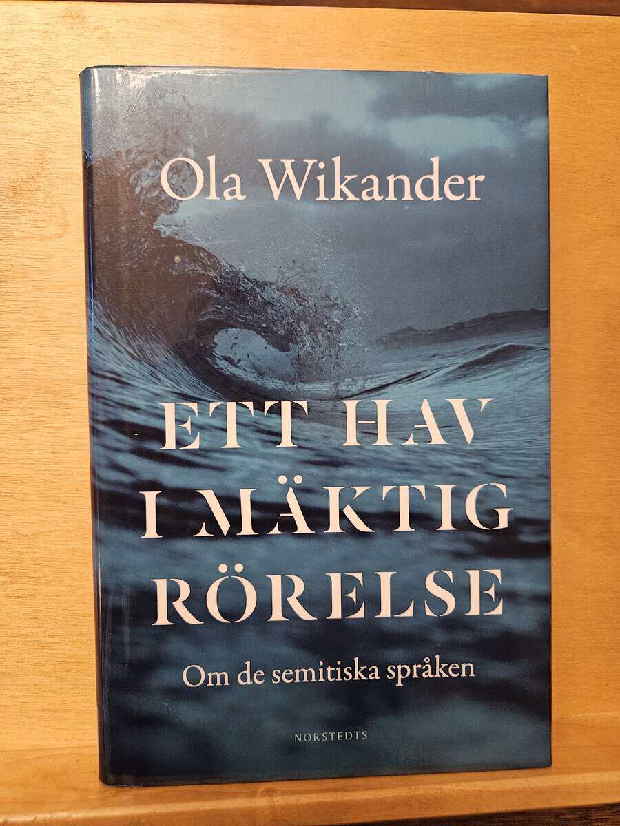 Ola Wikander : Ett hav i mäktig rörelse