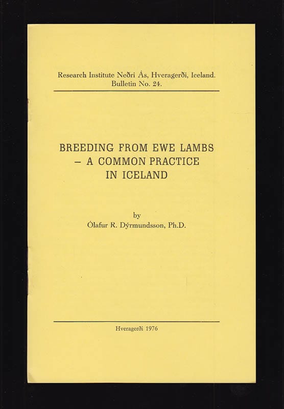 Ólafur R Dýrmundsson : Breeding from ewe lambs - A common practice in Iceland