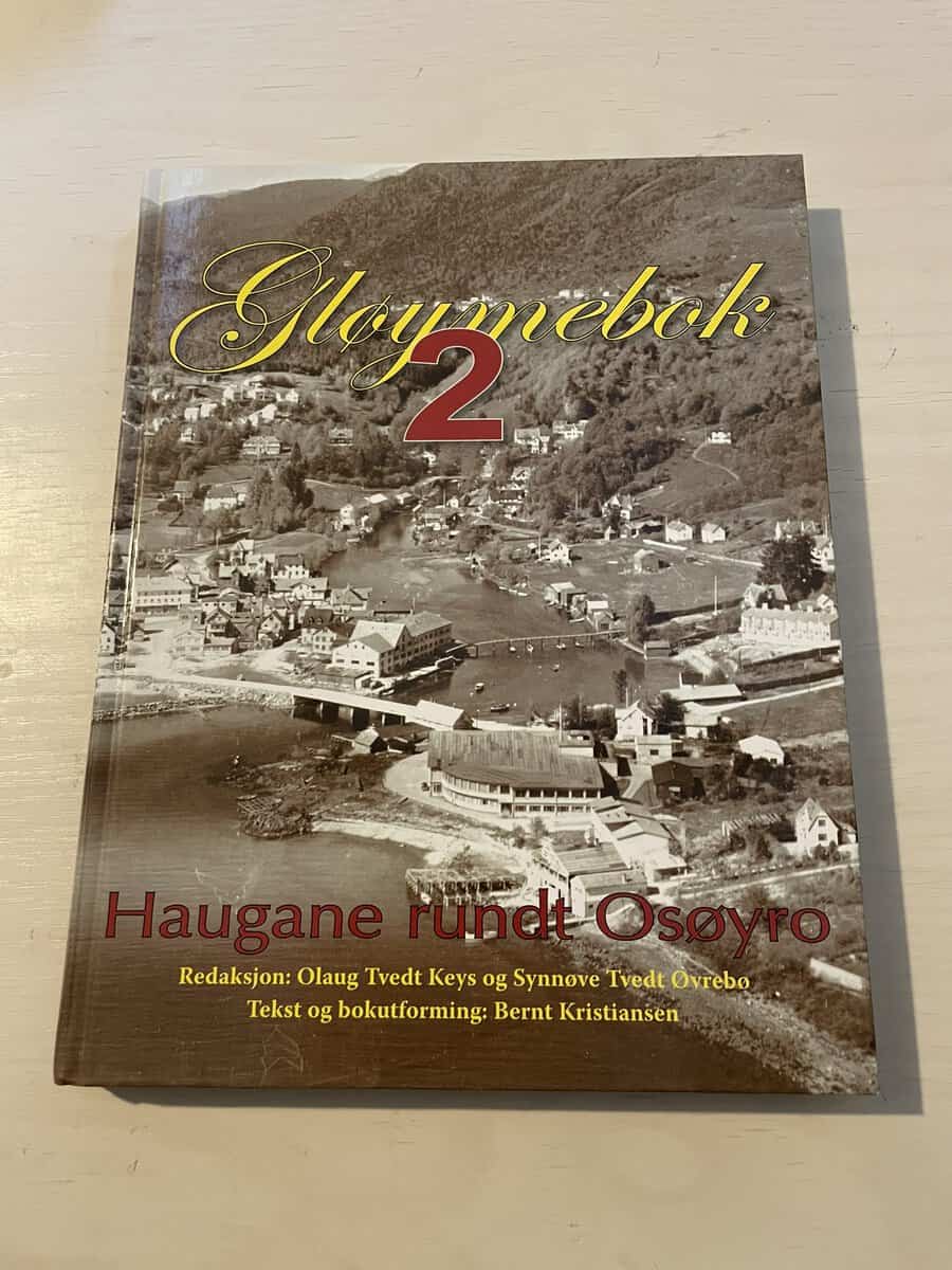 Olaug Tvedt Keys : Gløymebok 2