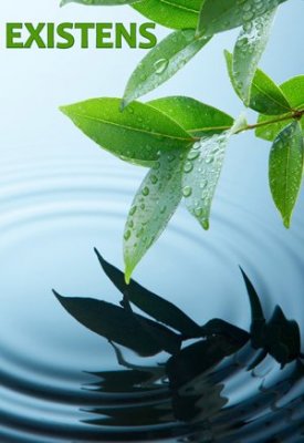 Olle Hedberg : Existens