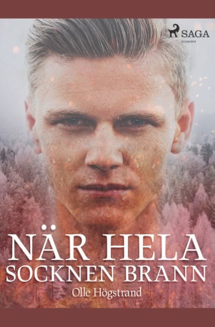 Olle Högstrand : När hela socknen brann