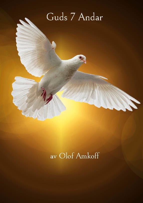 Olof Amkoff : Guds 7 andar