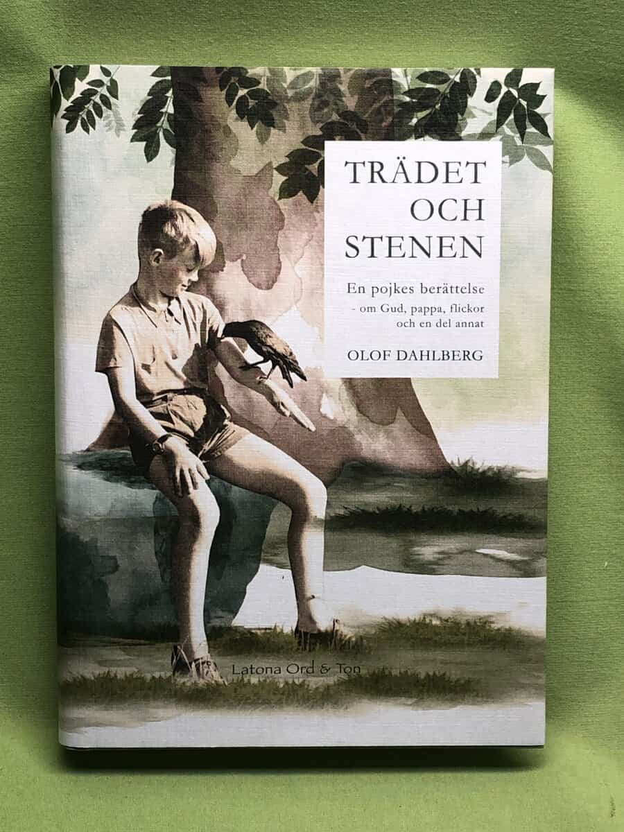Olof Dahlberg : Trädet och stenen