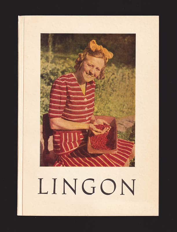 Oscar Johansson : Lingon