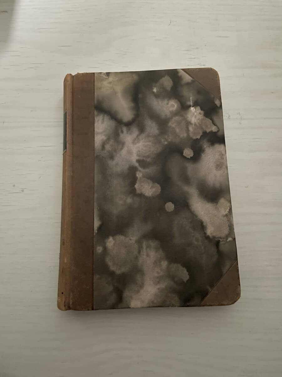 Oskar Malmrot : Trollhättebygden förr och nu