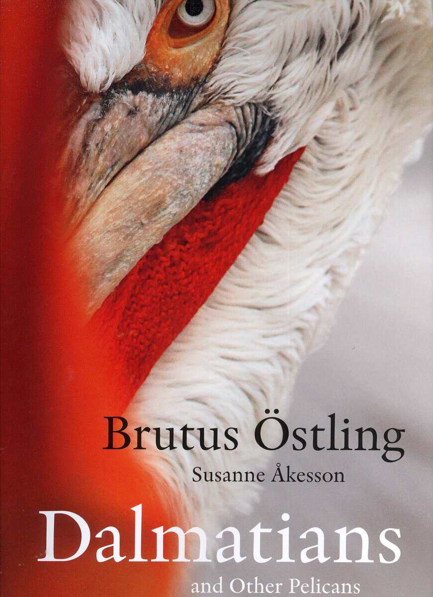 Östling, Brutus ; Åkesson, Susanne : Dalmatians and other pelicans