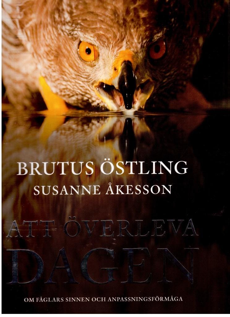 Östling, Brutus (foto) ; Åkesson, Susanne (text) : Att överleva dagen