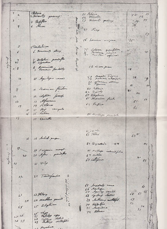 Otto Gertz : Linnés blomsterrabatter å Hammarby. Enligt en originalhandskrift av Linné