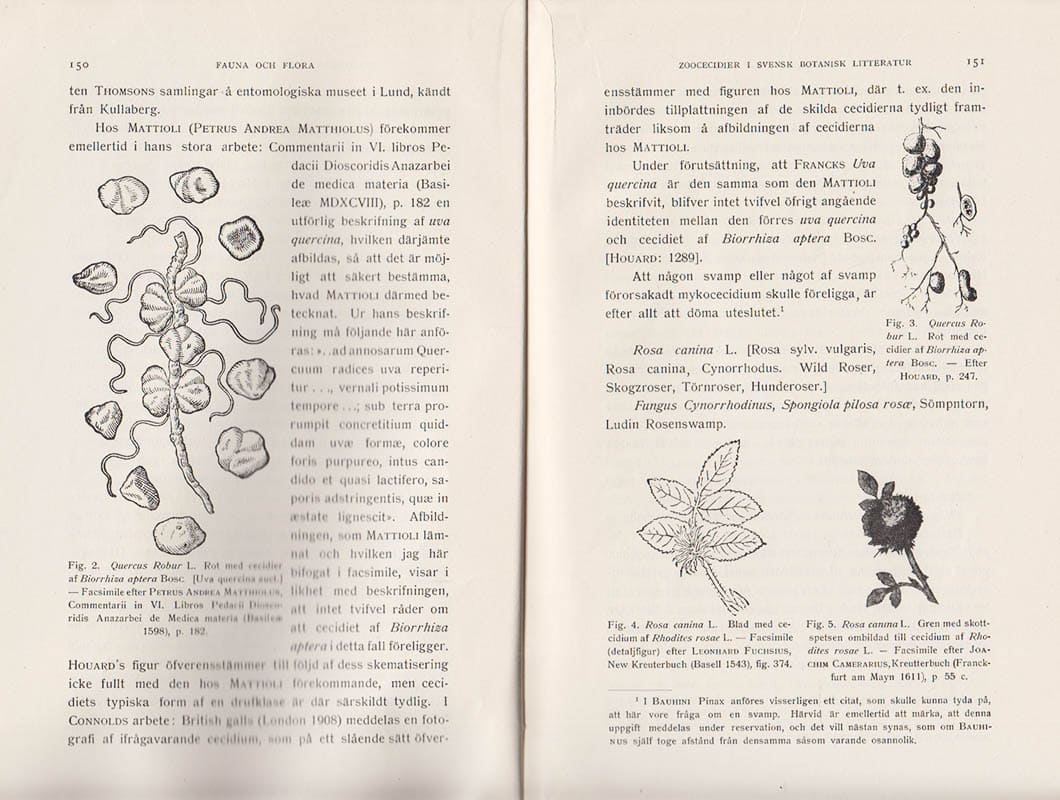Otto Gertz : Några förlinnéanska uppgifter angående zoocecidier i svensk botanisk litteratur. Ett bidrag till ceciologiens historia