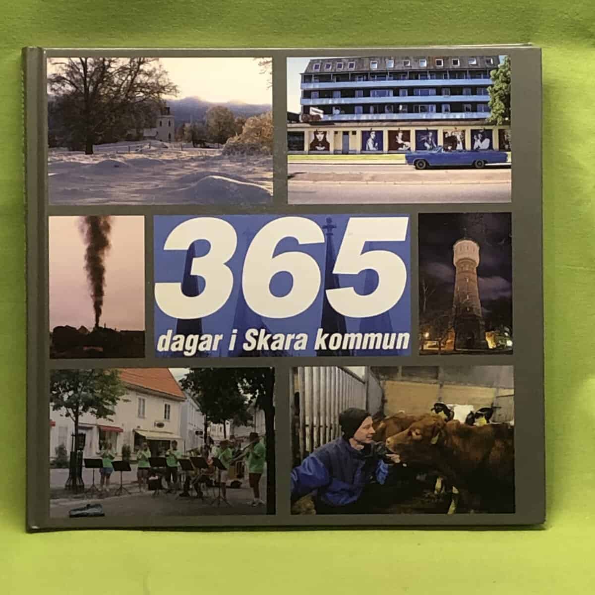 Ove Litorell : 365 dagar i Skara kommun