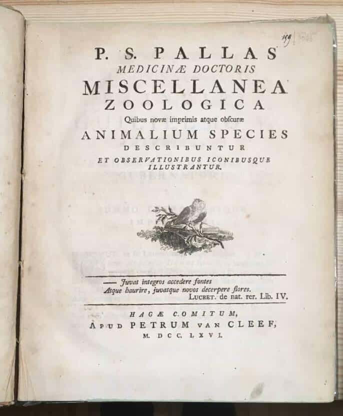 P S Pallas : Miscellanea Zoologica quibus novae imprimis atque obscurae animalium species describuntur et observationibus iconibusque illustrantur