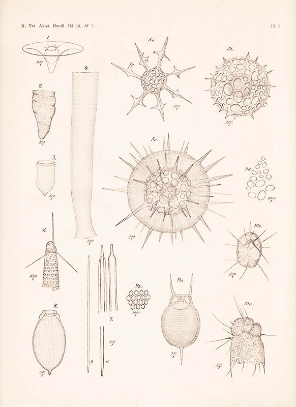 P. Th. Cleve : Plankton collected by the Swedish expedition to Spitzbergen in 1898 examined. With 4 plates. Presented to the R. Swedish Academy of Sciences 1899, March 8:th