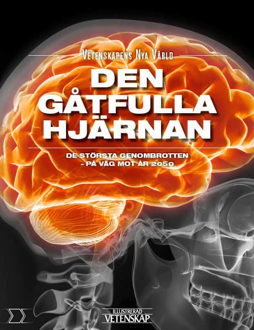 Palmgren, Gorm ; Bendix, Henrik ; Nielsen, Rolf Haugaard ; Nørgaard, Henry ; Overgaard, Jakob Boll ; Jørgensen, Morten Dam ; Simonsen, Torben R. : Den gåtfulla hjärnan