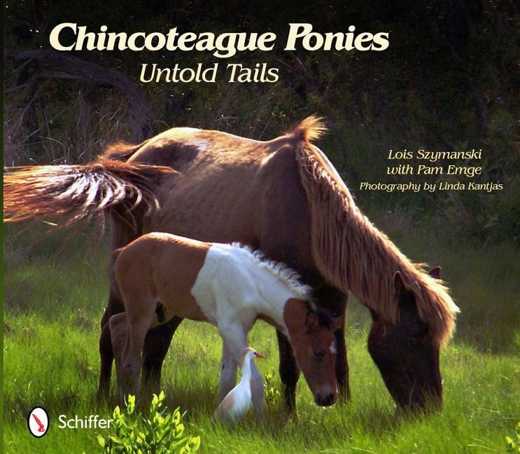 Pam Emge : Chincoteague ponies - untold tails