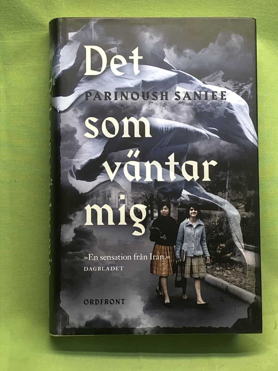 Parinoush Saniee : Det som väntar mig