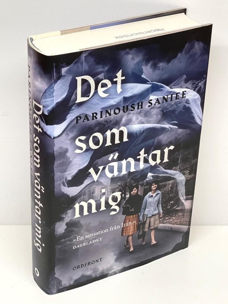 Parinoush Saniee : Det som väntar mig