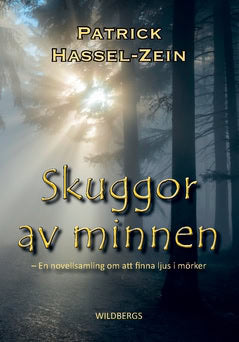 Patrick Hassel-Zein : Skuggor av minnen