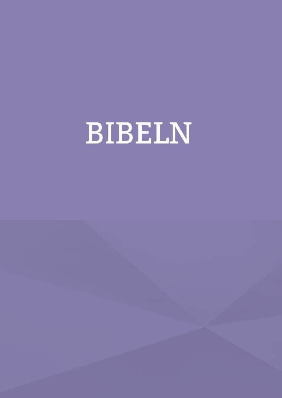 Patrik Firat : King James bibeln på svenska : Bibeln