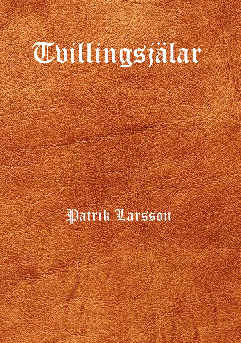 Patrik Larsson : Tvillingsjälar