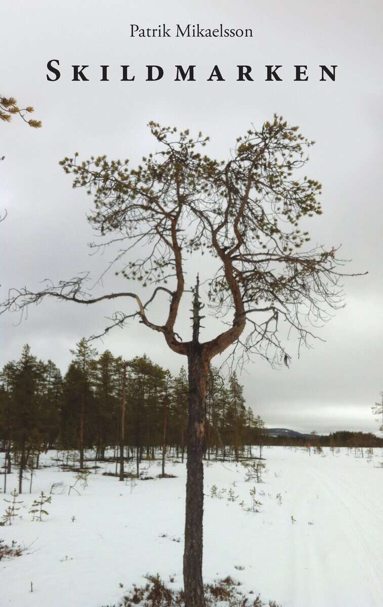 Patrik Mikaelsson : Skildmarken