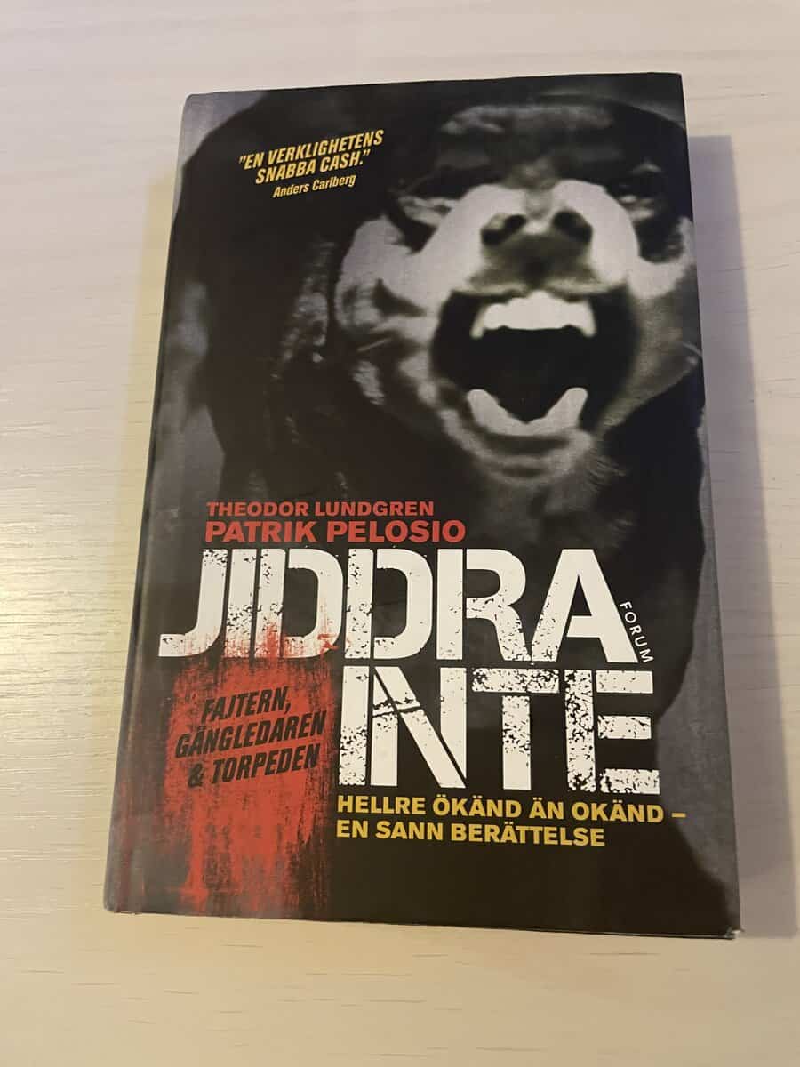 Patrik Pelosio : Jiddra inte hellre ökänd än okänd - en sann berättelse