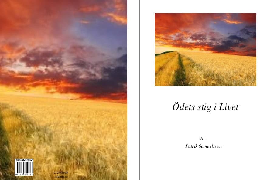Patrik Samuelsson : Ödets stig i livet