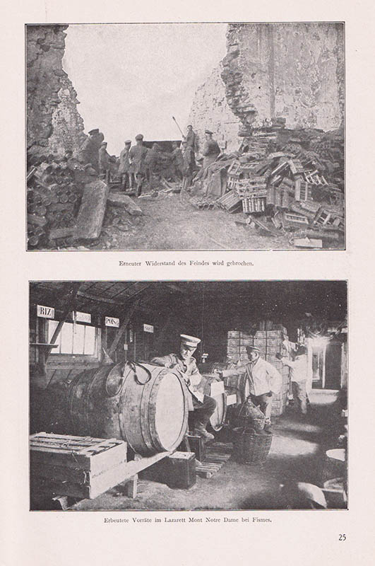 Paul Freybe : Die Schlacht bei Soissons und Reims