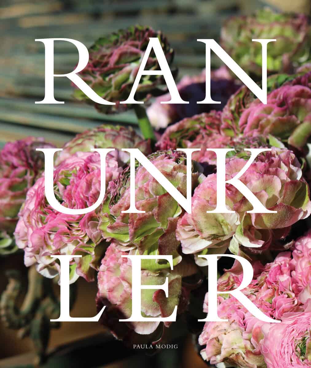 Paula Modig : Ranunkler