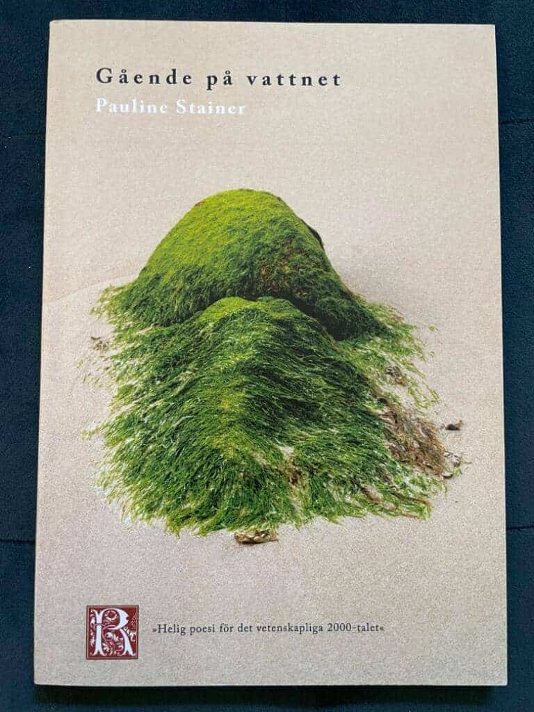 Pauline Stainer : Gående på vattnet