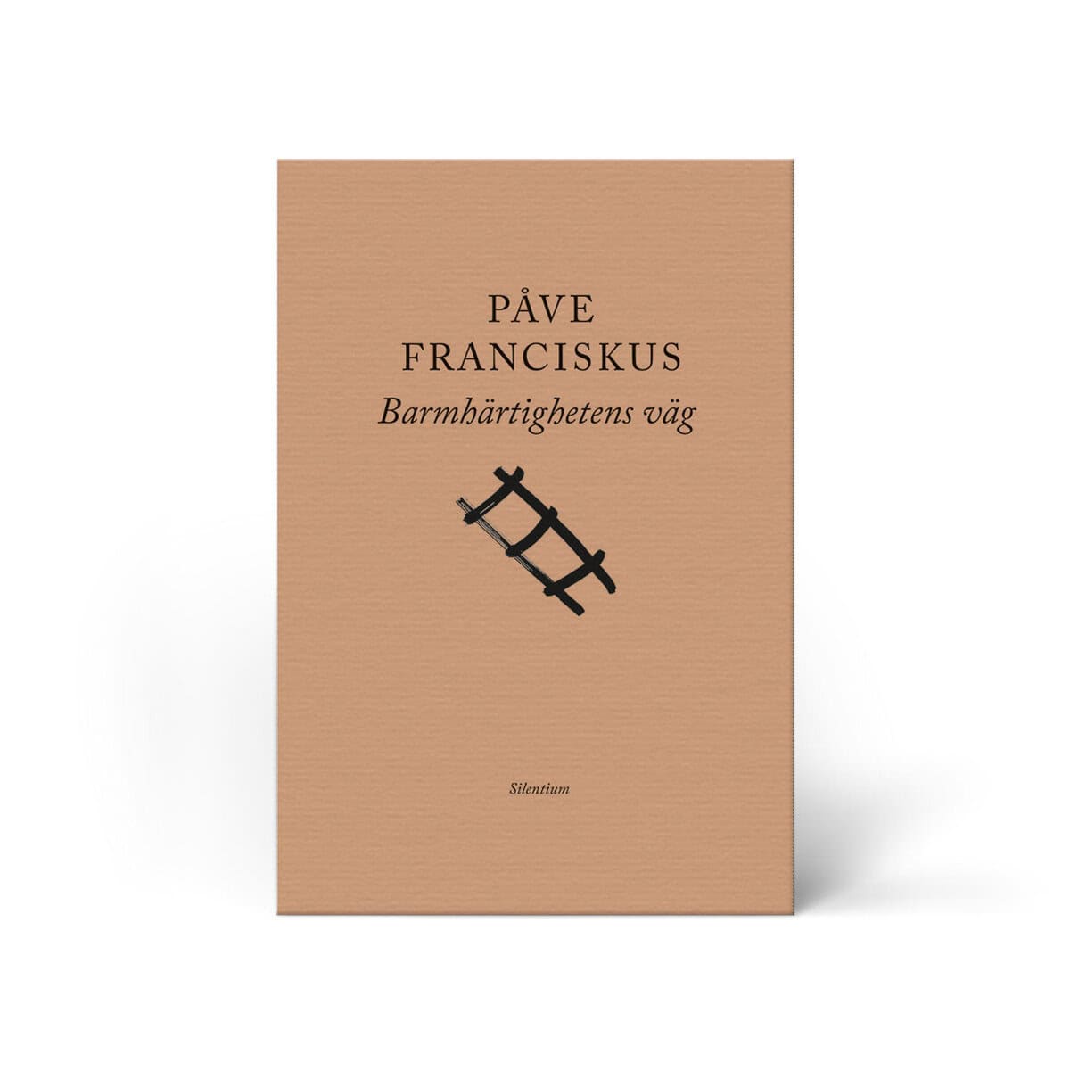 Påve Franciskus : Barmhärtighetens väg