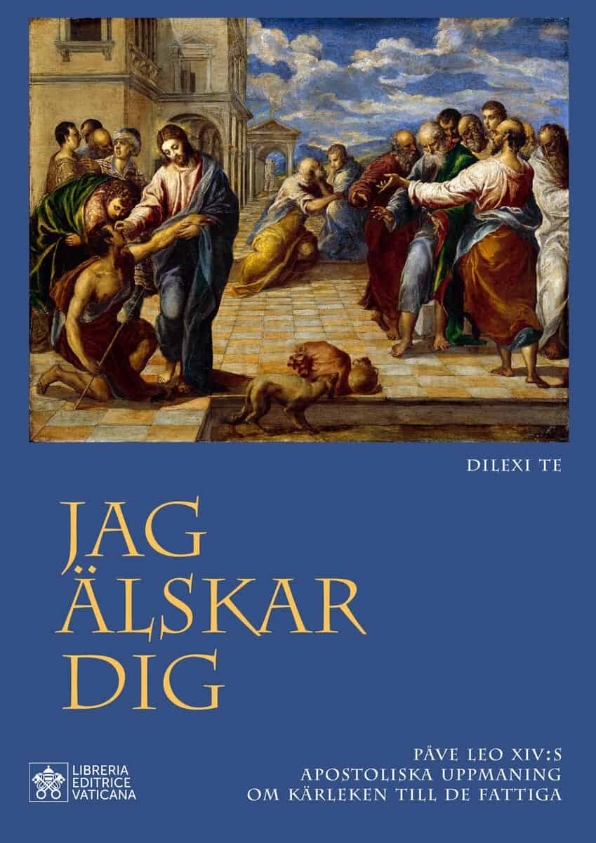 Påve Leo XIV : Jag älskar dig