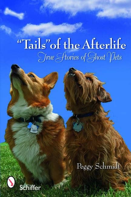 Peggy Schmidt : 'tails' Of The Afterlife