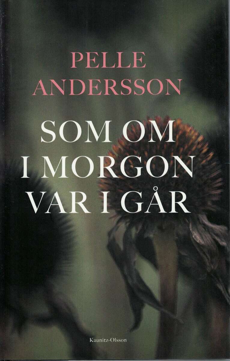 Pelle Andersson : Som om i morgon var i går