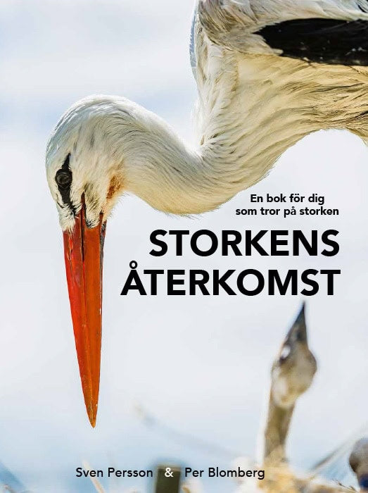 Per Blomberg : Storkens återkomst : en bok för dig som tror på storken