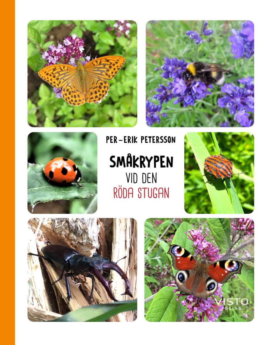 Per-Erik Petersson : Småkrypen vid den röda stugan