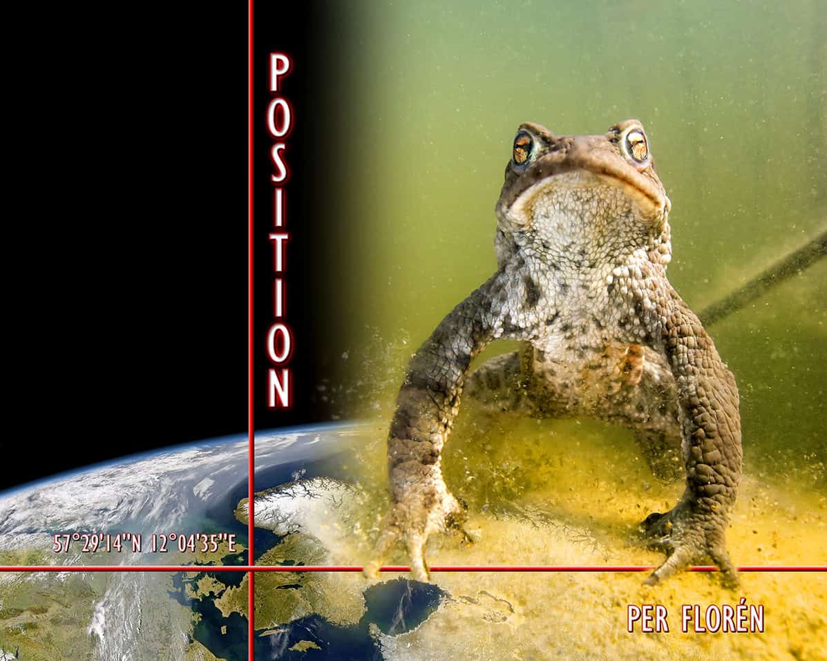 Per Florén : Position