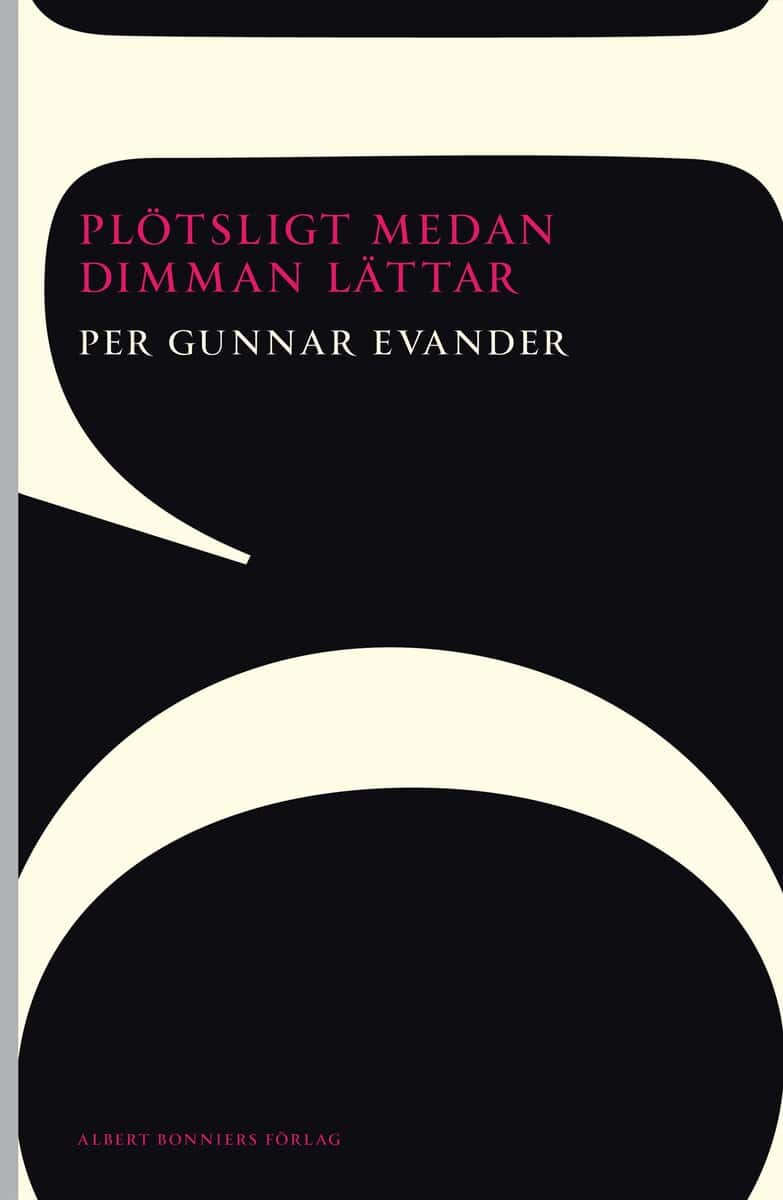 Per Gunnar Evander : Plötsligt medan dimman lättar