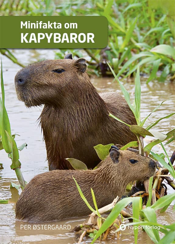 Per Østergaard : Minifakta om kapybaror