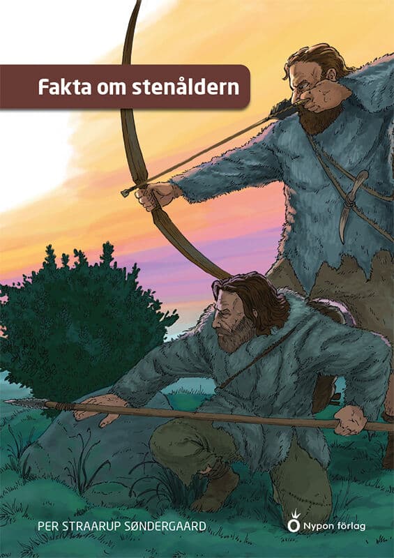 Per Straarup Søndergaard : Fakta om stenåldern